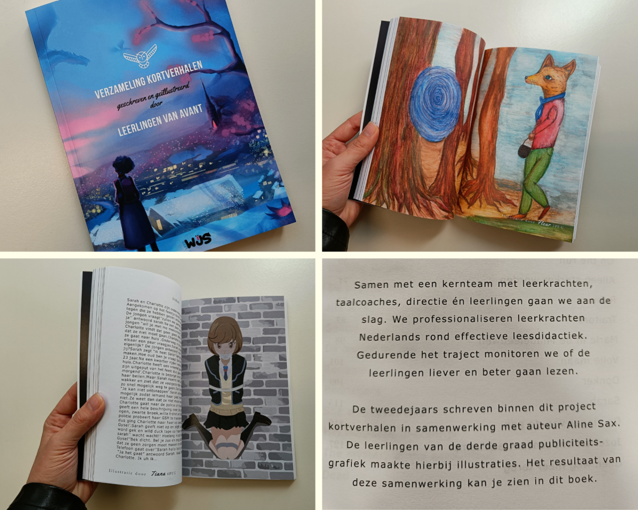 Collage van foto's van het boekje van project leeswijs